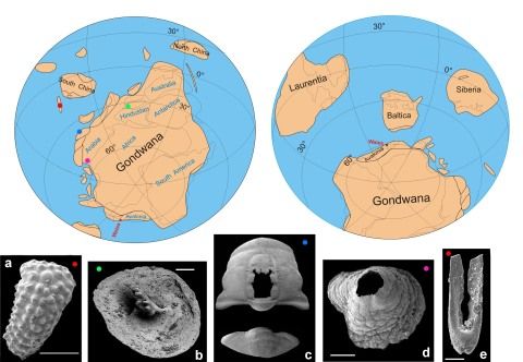 Earth about 530 million years ago, shortly after the Gondwanan supercontinent formed