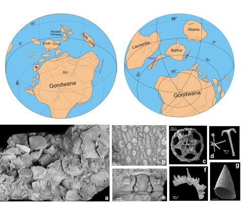  440 million years ago, the world was recovering after ice age and mass extinction.