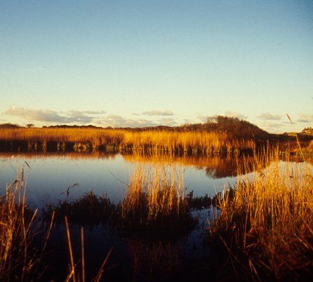 Llyn Cerrig Bach