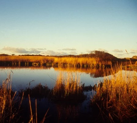 Llyn Cerrig Bach
