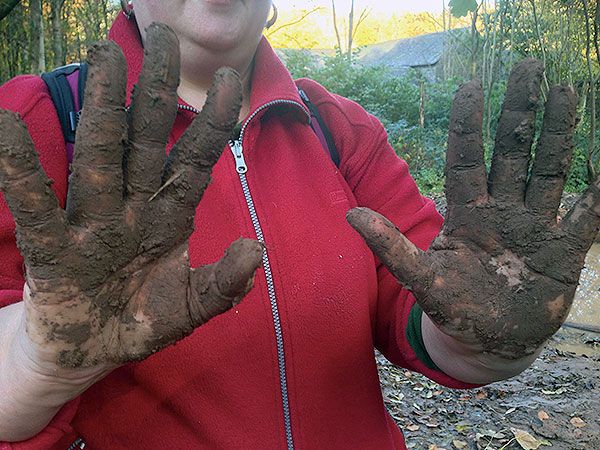 Gardening hands