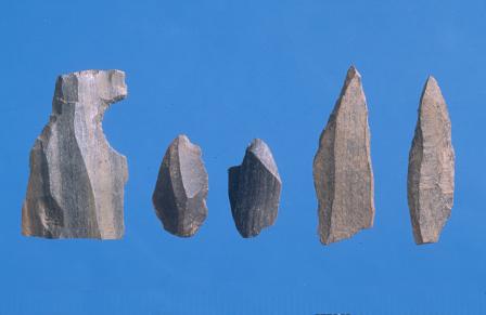 Stone tools from Rhuddlan (Denbighshire). Each tool is about 2.5cm (1 inch) long. A large quantity of stone tools was discovered at Rhuddlan during excavations in the medieval town.