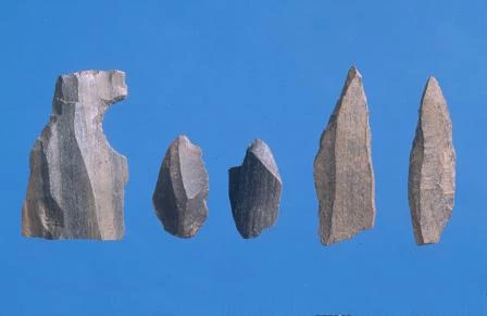 Stone tools from Rhuddlan (Denbighshire). Each tool is about 2.5cm (1 inch) long. A large quantity of stone tools was discovered at Rhuddlan during excavations in the medieval town.