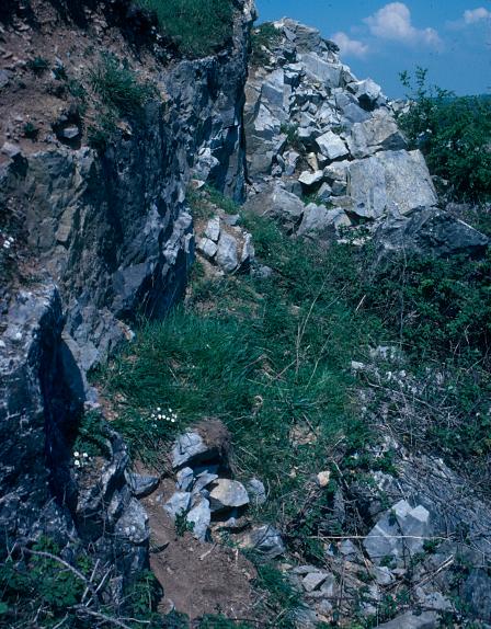 Coygan Cave (Carmarthenshire). No human remains have been found here, just a handful of tools that show that Neanderthals used the cave briefly.