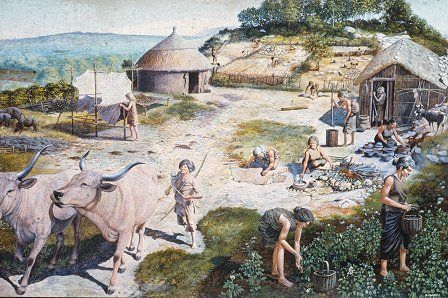 Reconstruction of daily life in Wales 6,000 years ago