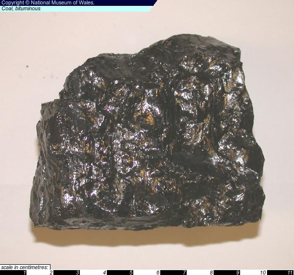 Coal, bituminous