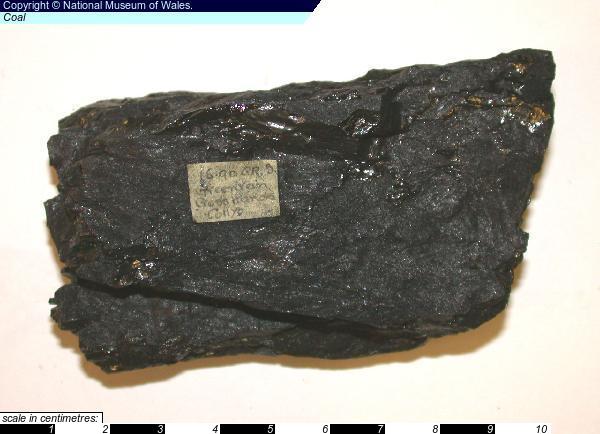 Petrology: Coal Collection