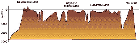 Mascarene Ridge