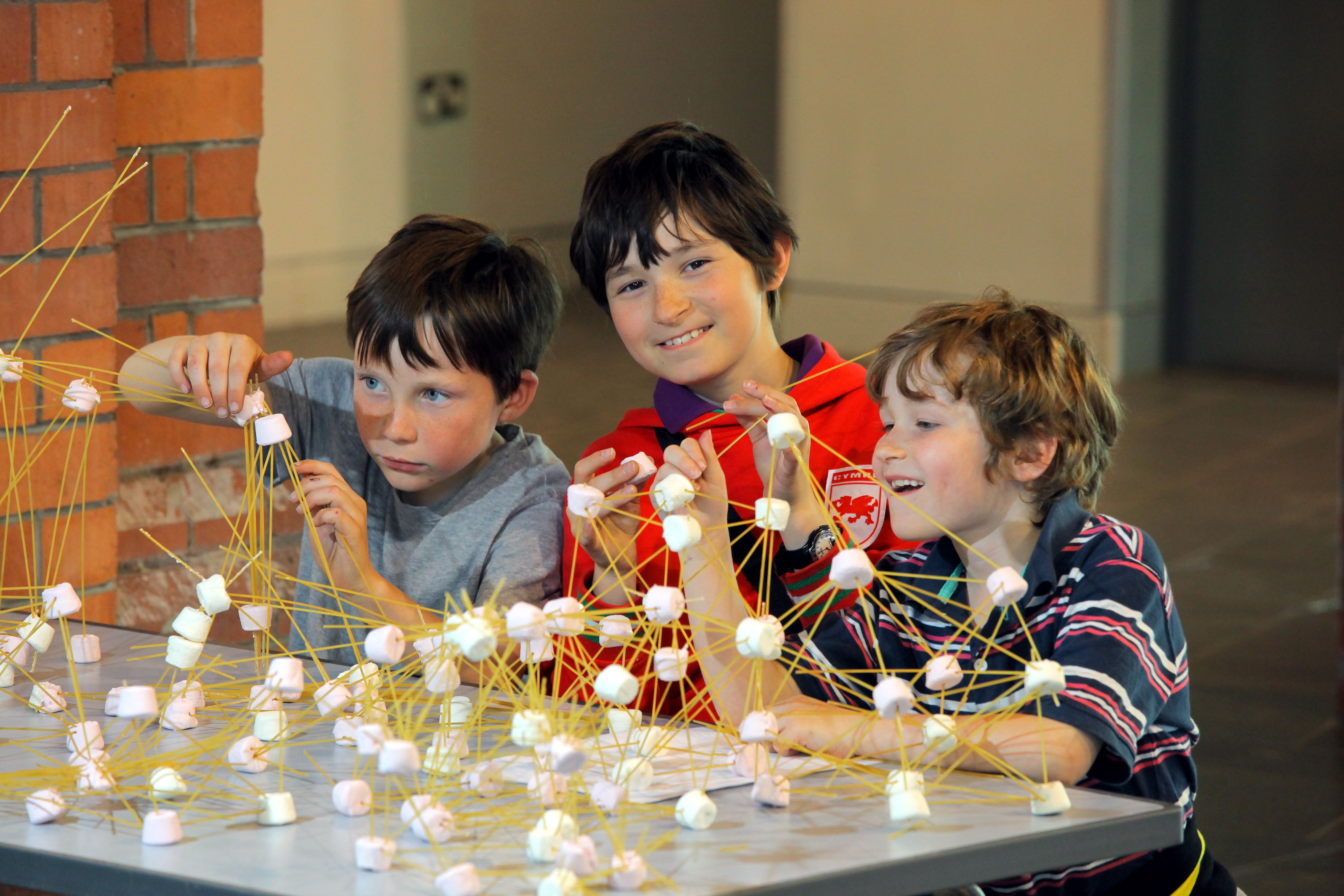 Street science. Marshmallow Challenge рекорд. Marshmallow Challenge.