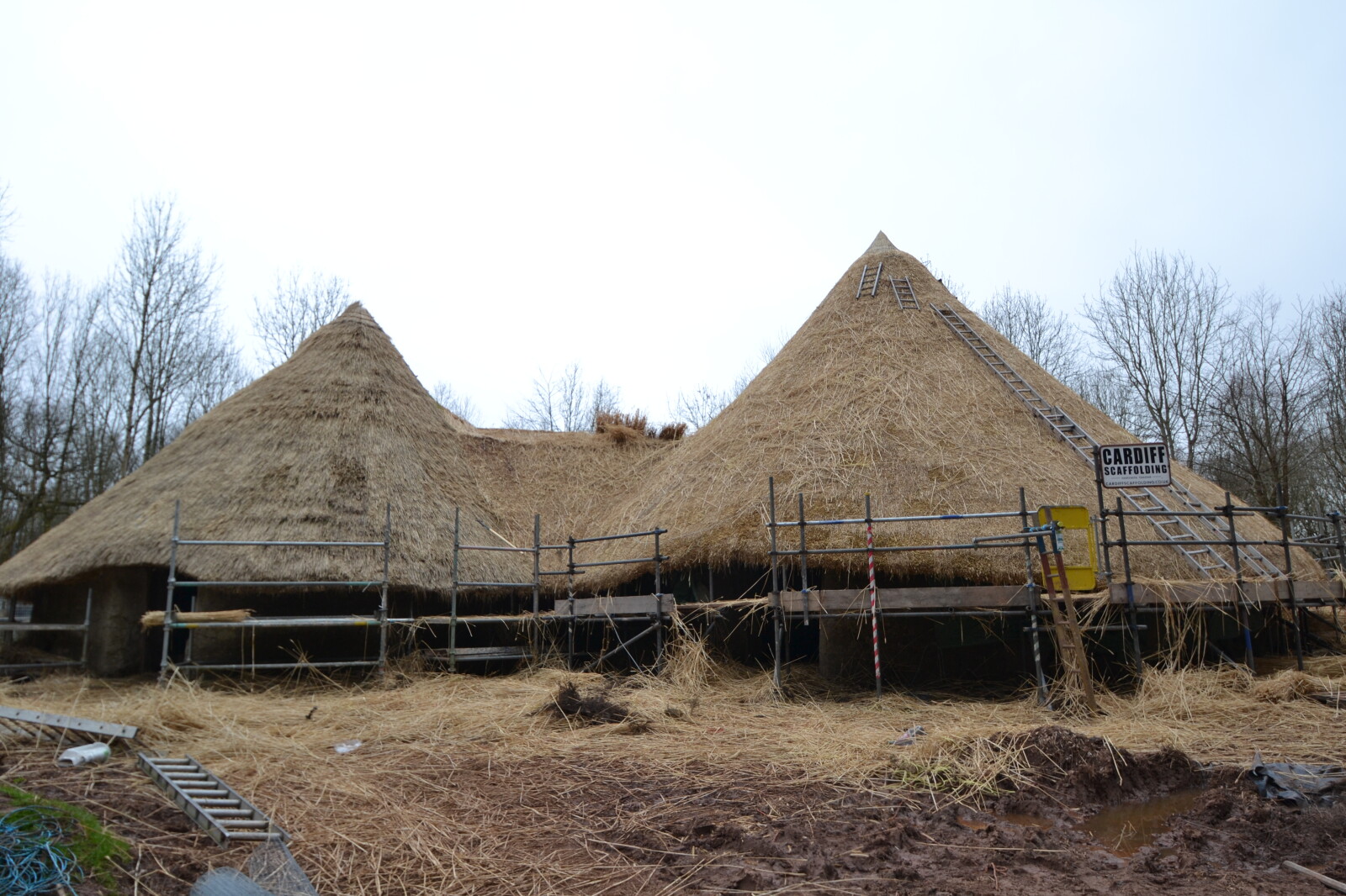 Thatched reconstructed roundhouses
