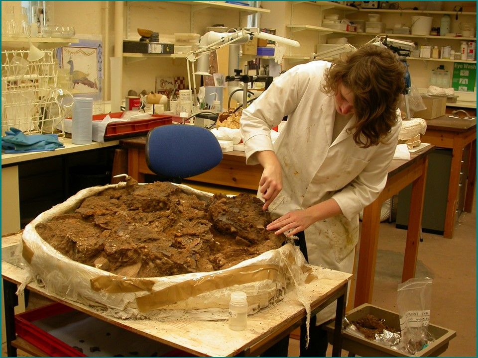 Archaeological conservators at work