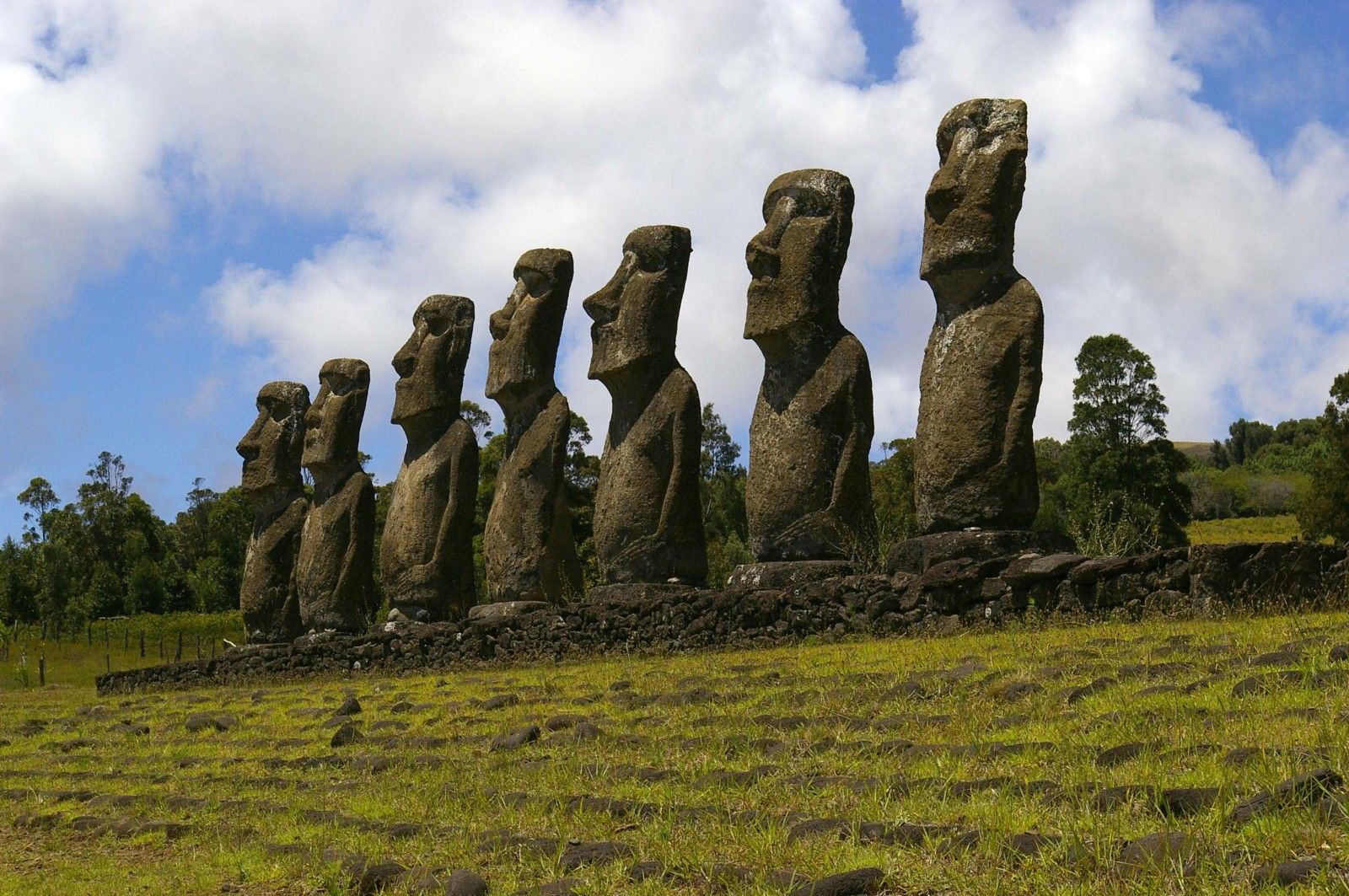 Каменные идолы. Каменные истуканы острова Пасхи. Остров Пасхи статуи. Статуи Моаи. Эль-Гиганте Моаи.