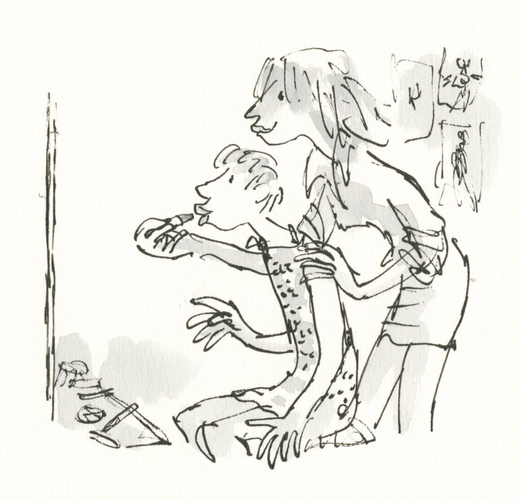 The Boy in a Dress, Illustration © Quentin Blake