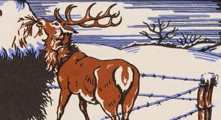 The story of the red-deer