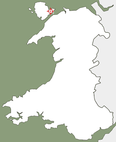 Bryn Eryr map plot