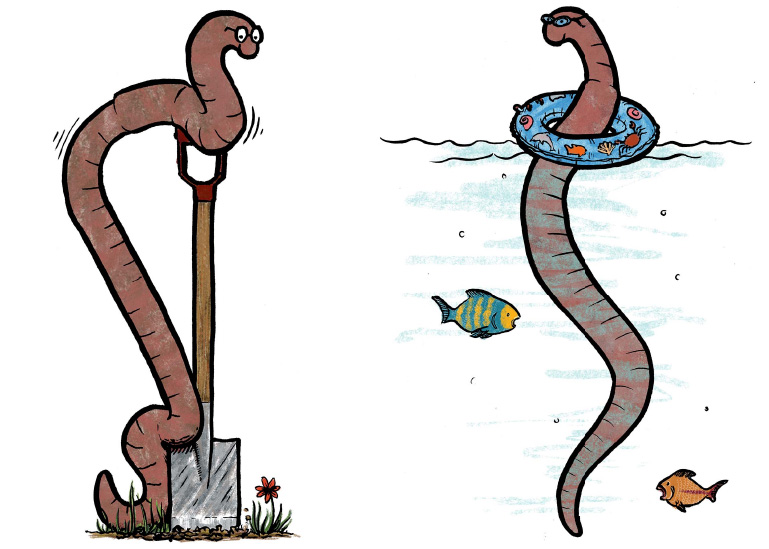 worm illustrations