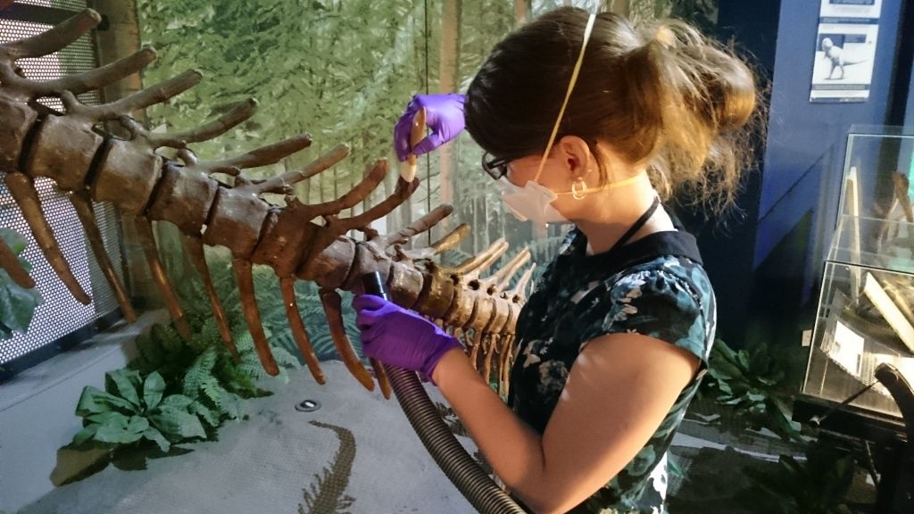 Evolution of Wales Ruth Hadrosaur Amanda Valentine-Baars Dust