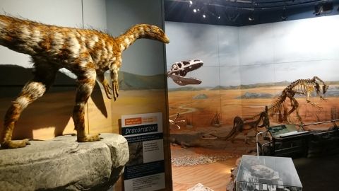 EoW refurb 2016 Dracoraptor peeking into Triassic