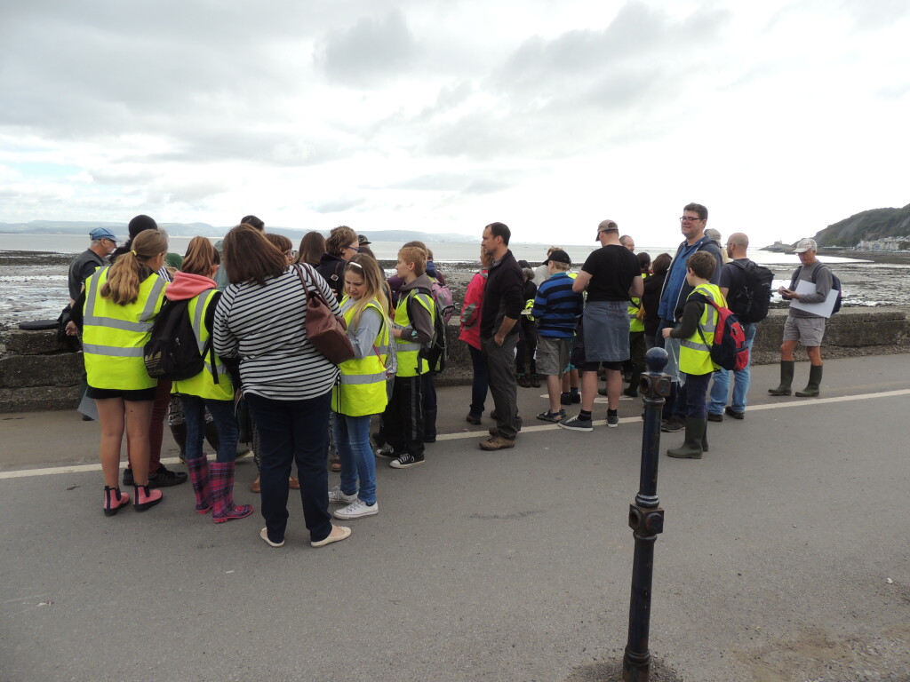 A large group of people gather at the side of the road before going on to the beach.