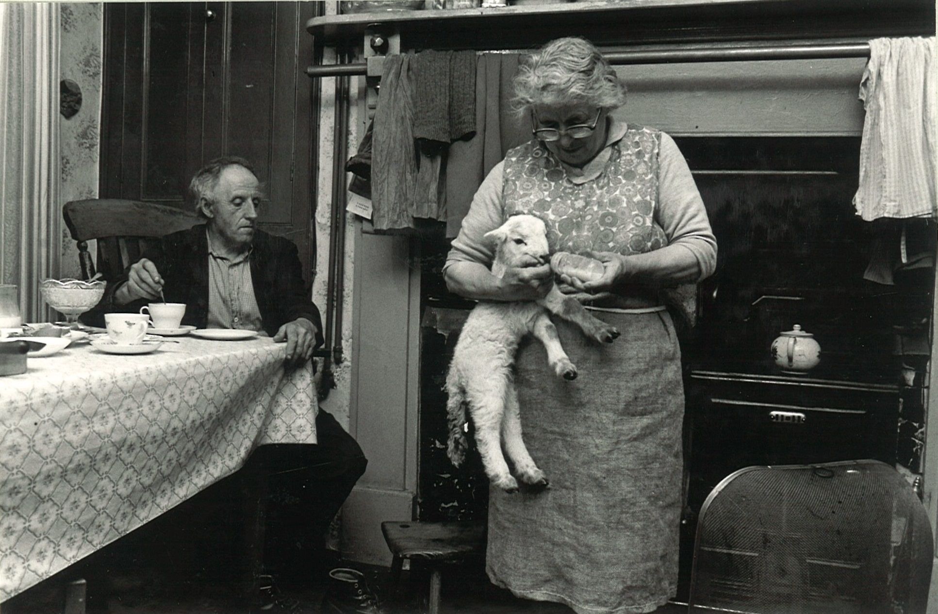 Archive image: Bottle feeding a lamb
