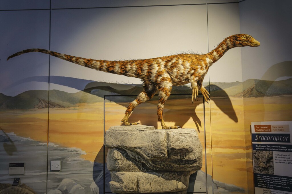 Picture of a Dracoraptor