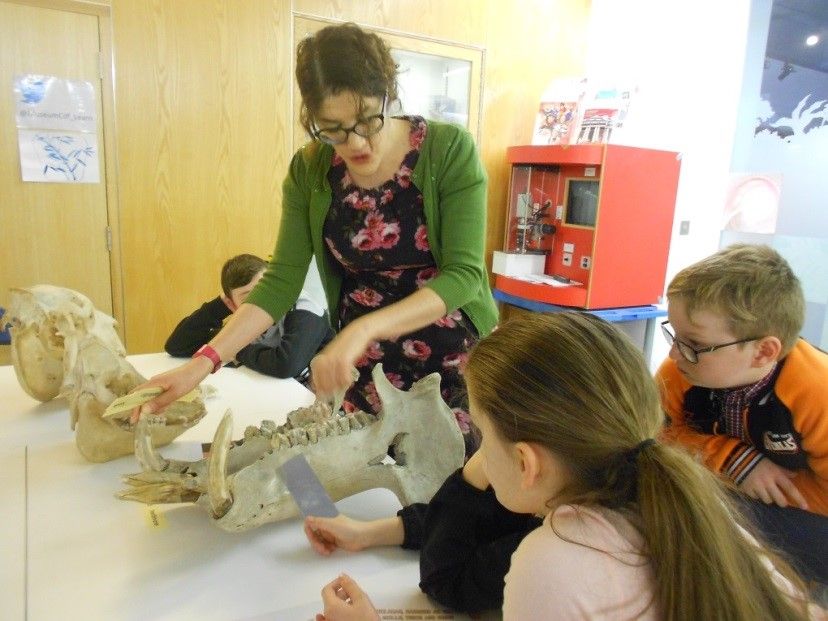 Photograph of a museum staff member showing children the jaw of a hippopotamus