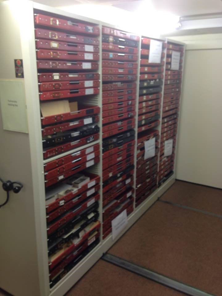 photo showing a large cabinet full of specimen drawers