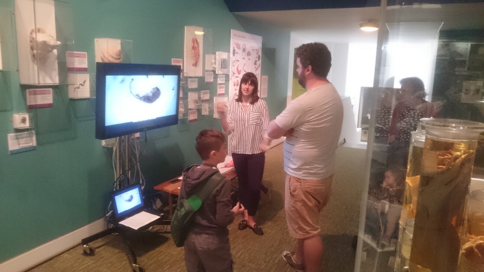 Charlotte Martin, UWE project student, undertaking museum user evaluation of time lapse video. 