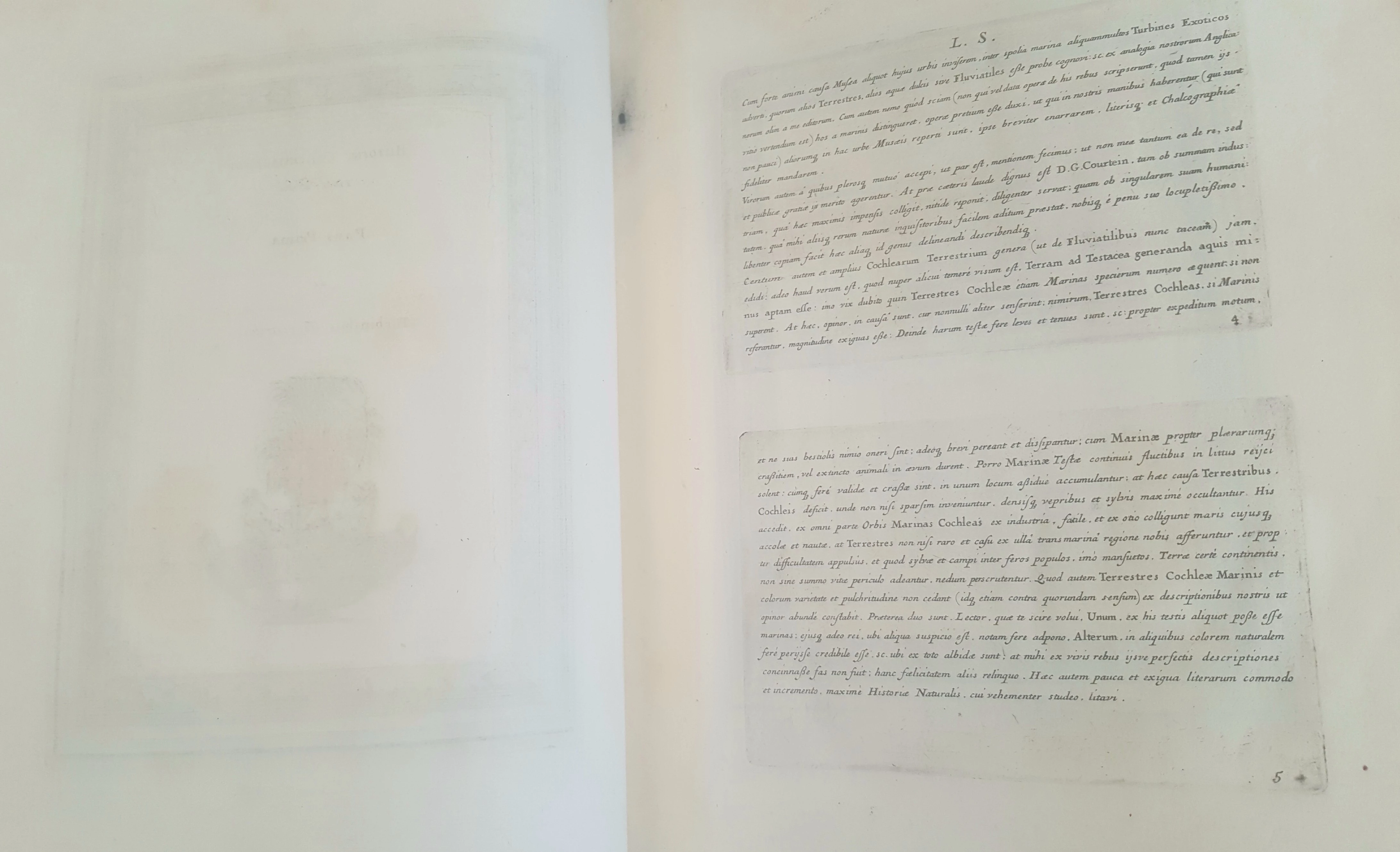 Historiae Conchyliorum by Martin Lister