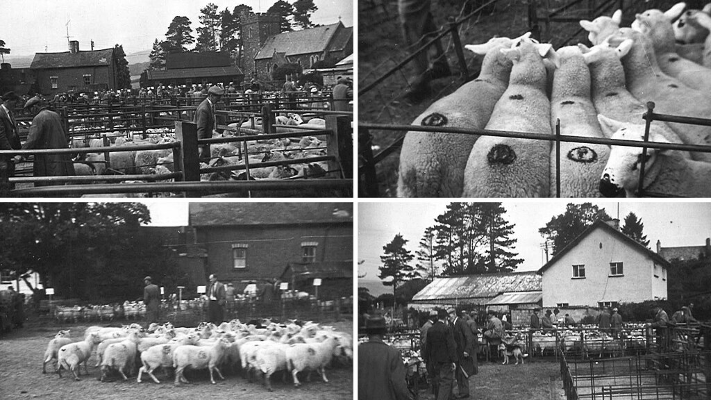 Rhayader market, Radnorshire, 1962