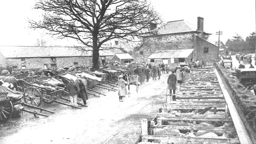 Market day in Llanybydder, 1909