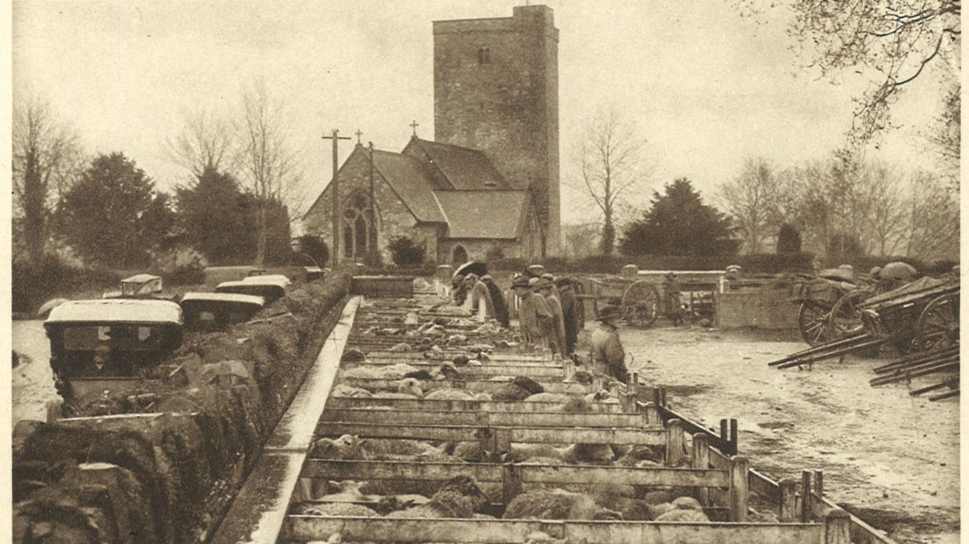 Market day in Llanybydder, early 1900