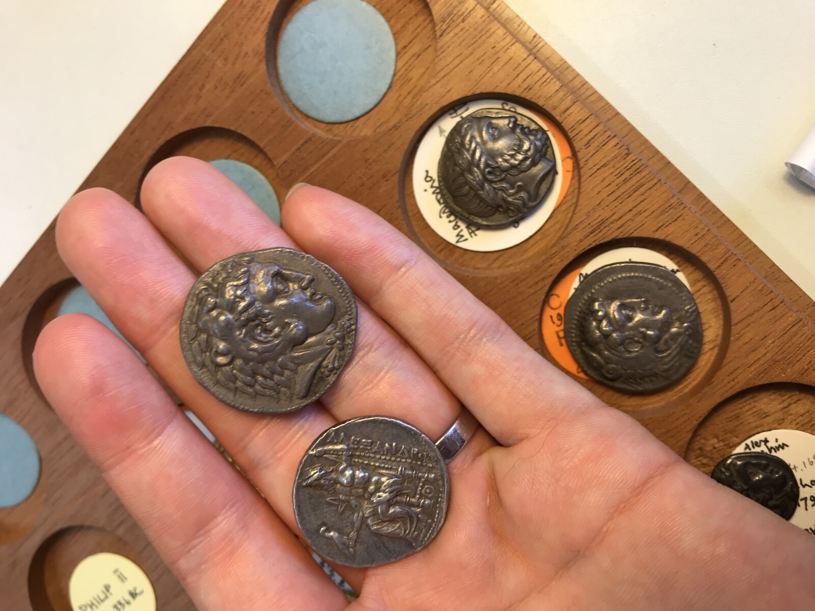 Picture of Ancient Greek coins in the collection at National Museum of Wales, Cardiff
