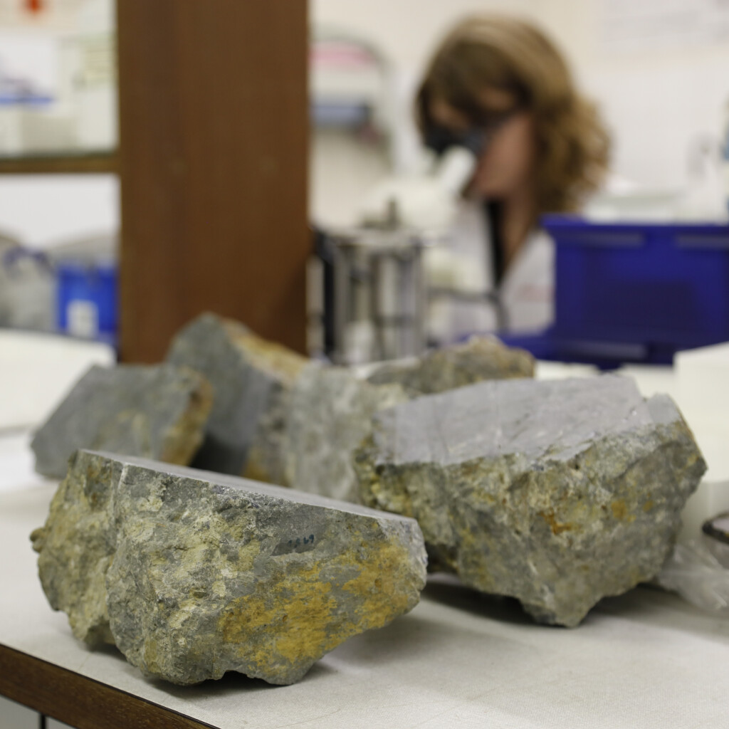 Rocks in the geology laboratory