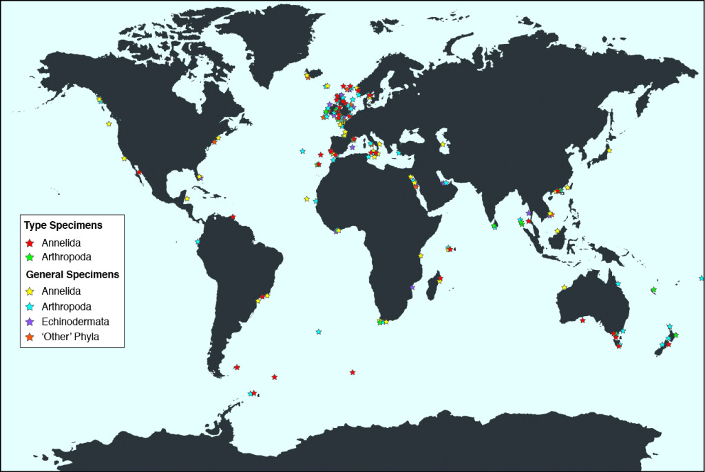 Map showing the countries represented by marine invertebrate specimens in the collection