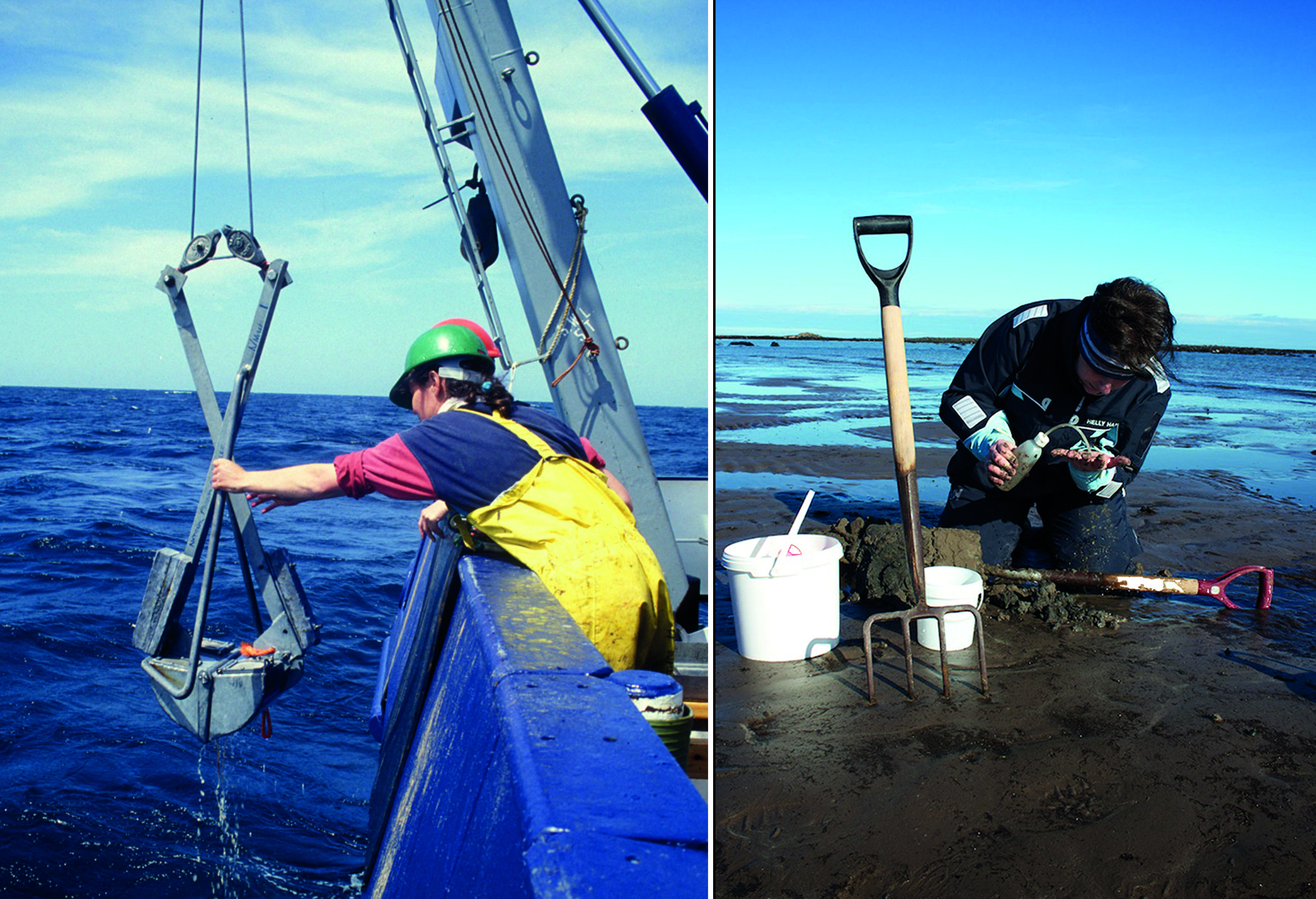 Museum staff collect specimens both onshore and offshore