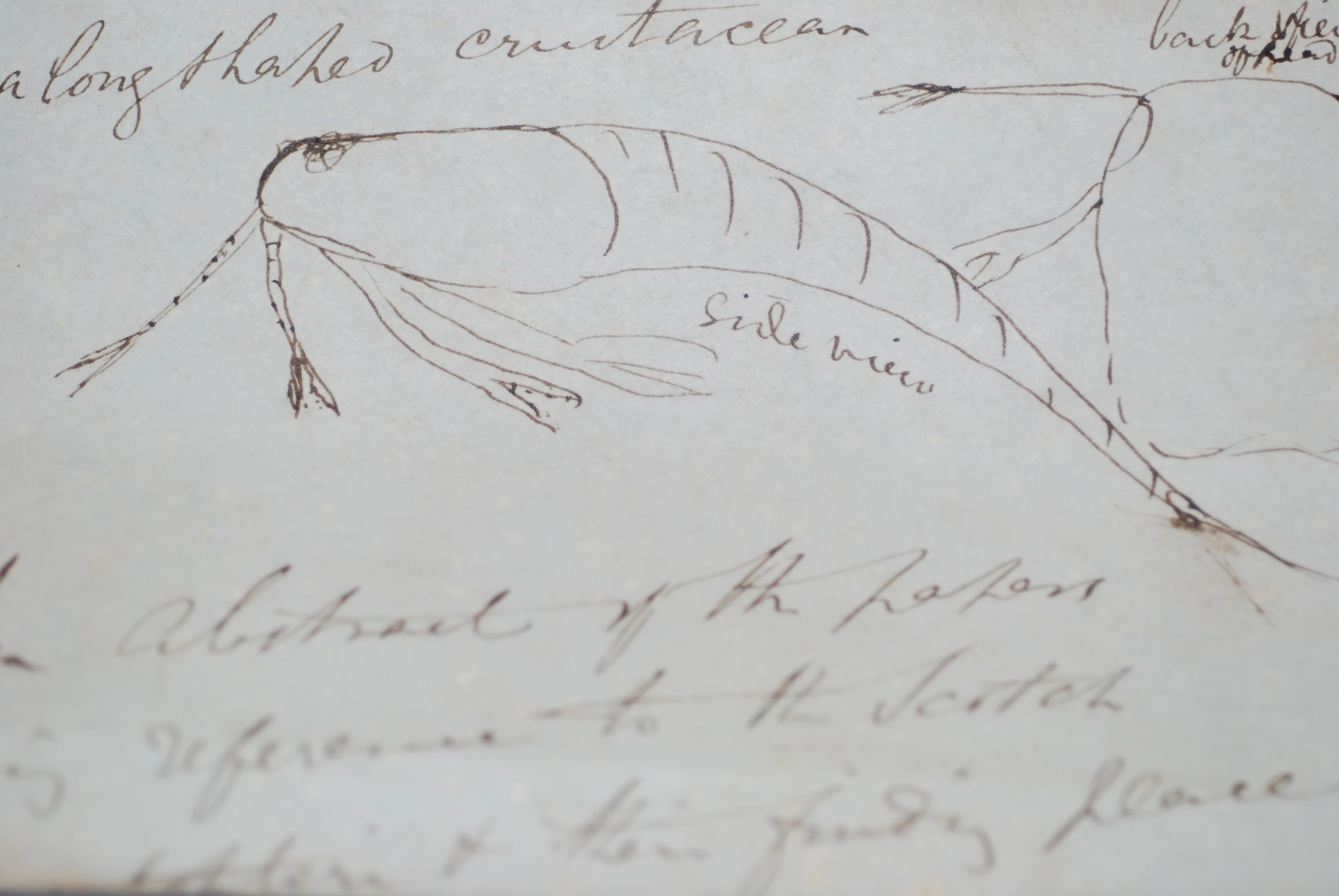 Natural Science archives