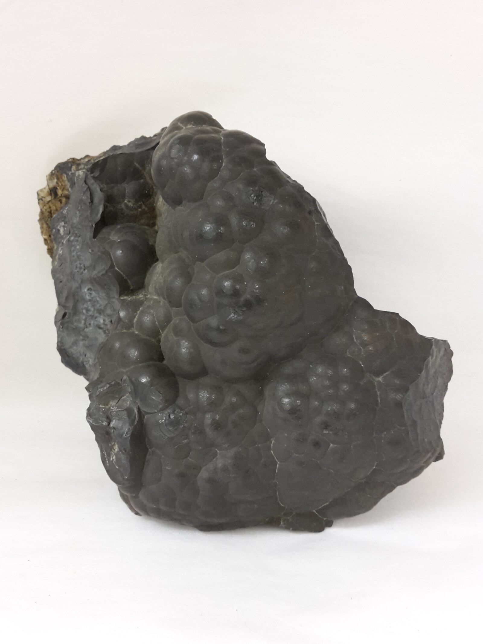 Botryoidal aggregate of cryptomelane-hollandite from Mynydd Nodol mine, Arenig, Merionethshire. Specimen 11 cm tall. NMW 27.111.GR.27, ex G. J. Williams collection.