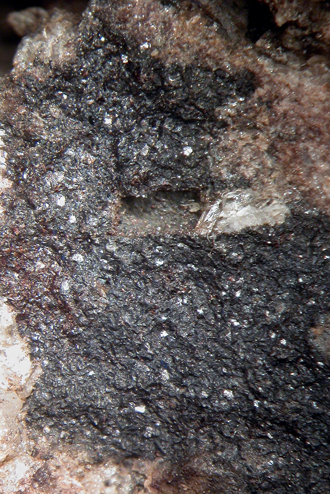 Pennantite (manganese chlorite - dark brown) with celsian (white to cream) from Benallt mine. NMW 2006.15G.M.5