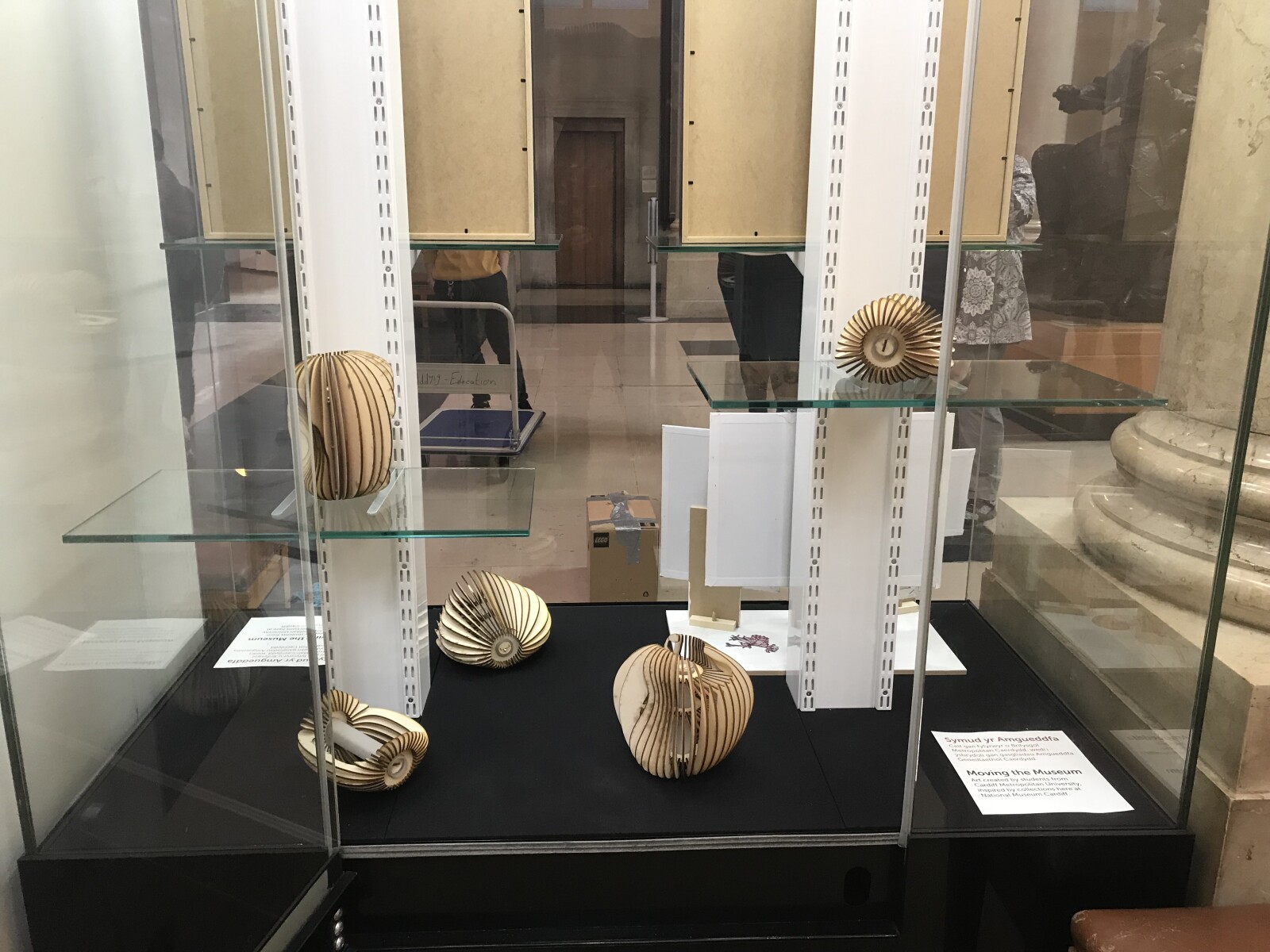 Photo of slatted wooden light shades in a display case