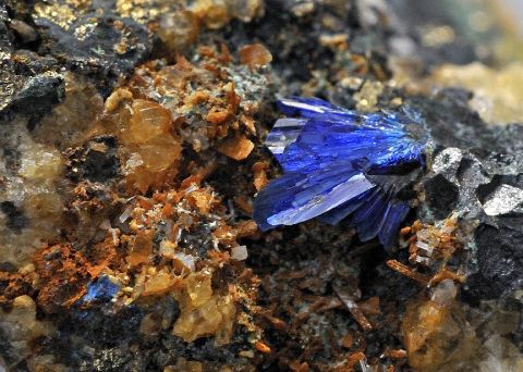 4.5 mm long crystal spray of blue linarite (lead copper sulphate hydroxide) in weathered vein material from Nant Melyn Mine, Hafren Forest, Powys, Wales. John Mason specimen and photograph.