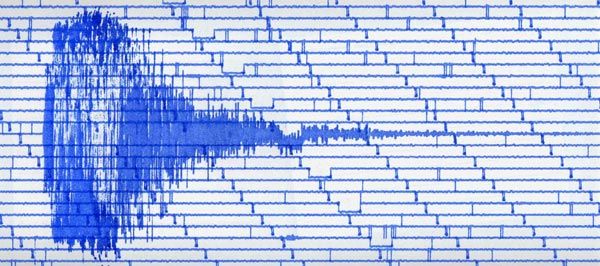 A scan from the seismograph at National Museum Cardiff.