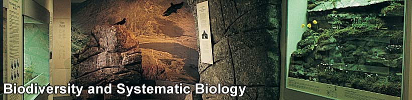 Biodiversity and Systematic Biology