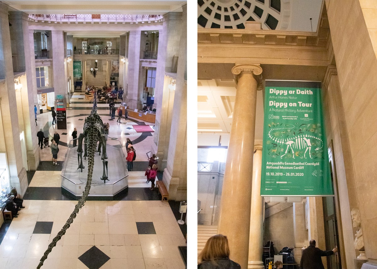 two photos die by side. On the left is a picture looking down on Dippy from the balcony above its tail. On the right is a photo of a green banner advertising the exhibition