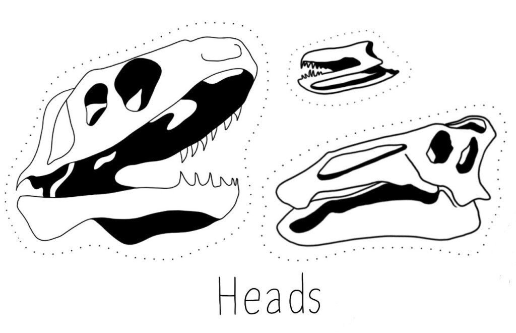 Ink illustrations of three dinosaur skulls and the word Heads