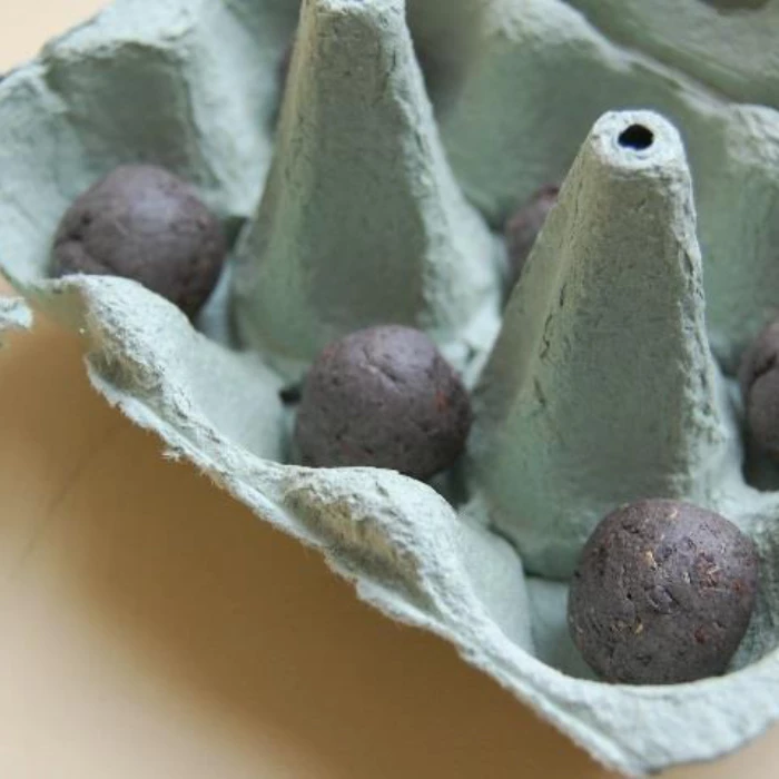 photo of seed bombs in a cardboard egg box