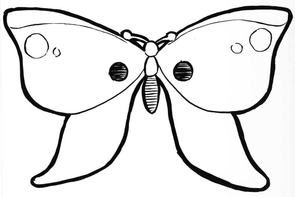 An ink drawing of a cartoon butterfly