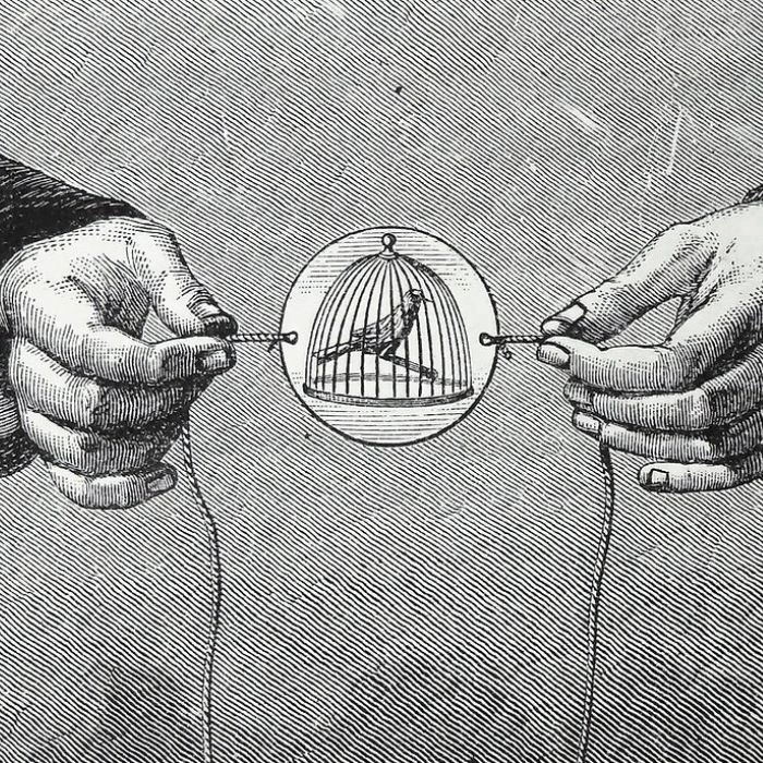Thaumatrope