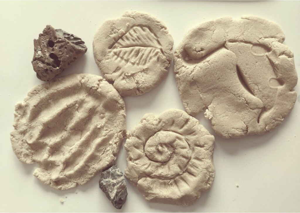 A picture of homemade fossils