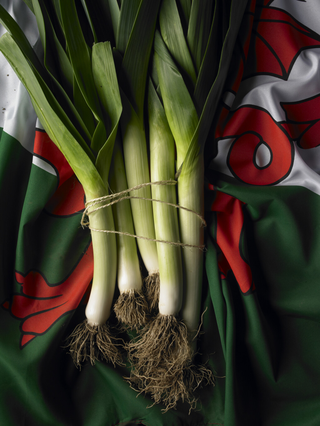 A bundle of leeks tied with a string, placed on top of the flag of Wales.